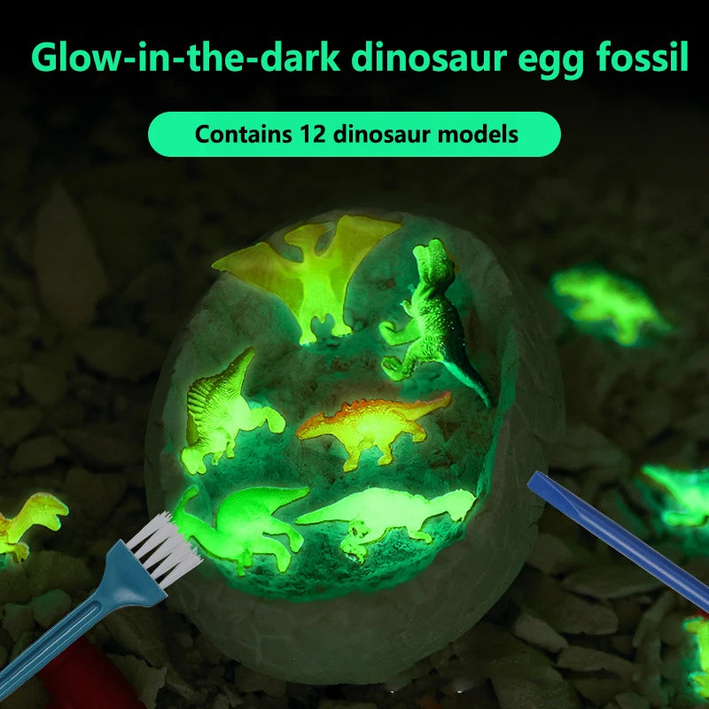 Educational Archaeological Excavation Dinosaur Egg