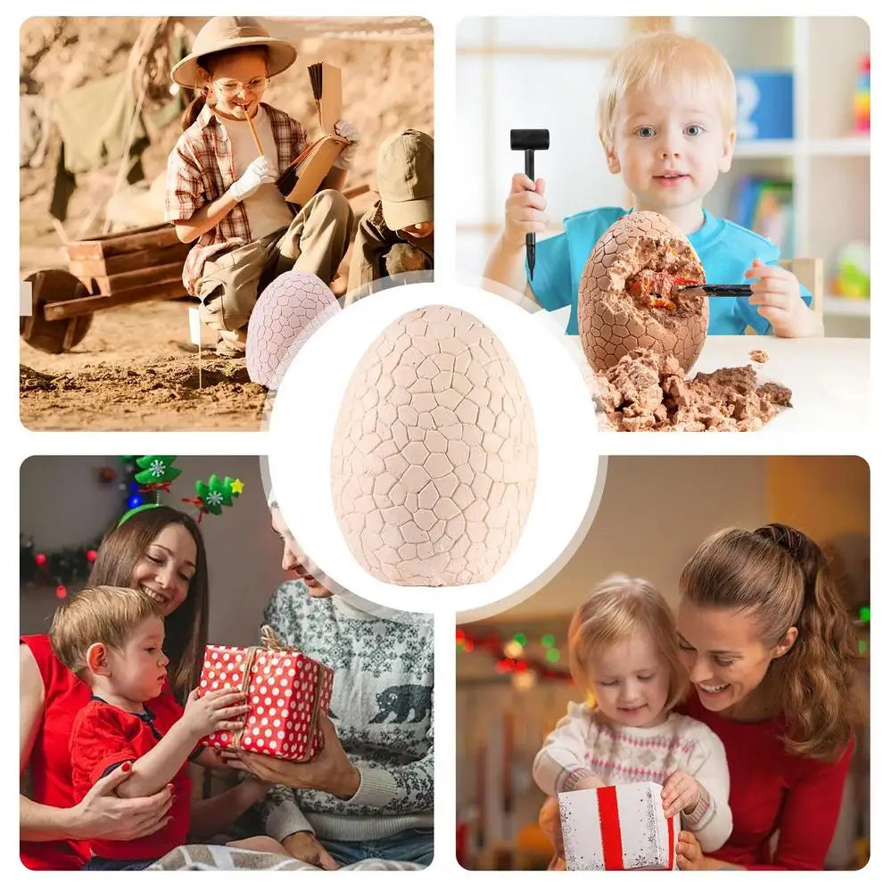 Educational Archaeological Excavation Dinosaur Egg