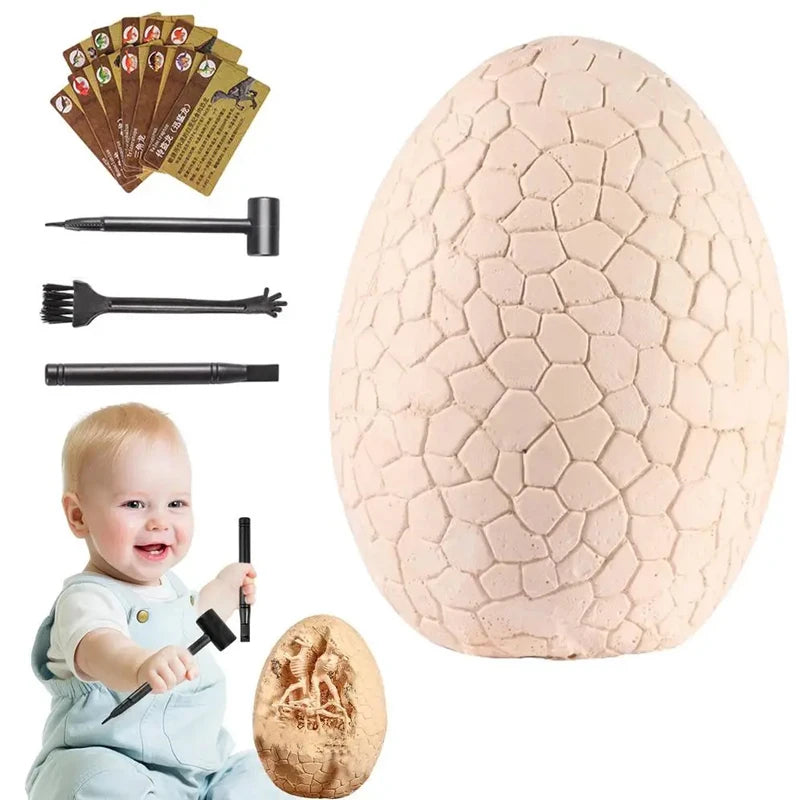 Educational Archaeological Excavation Dinosaur Egg