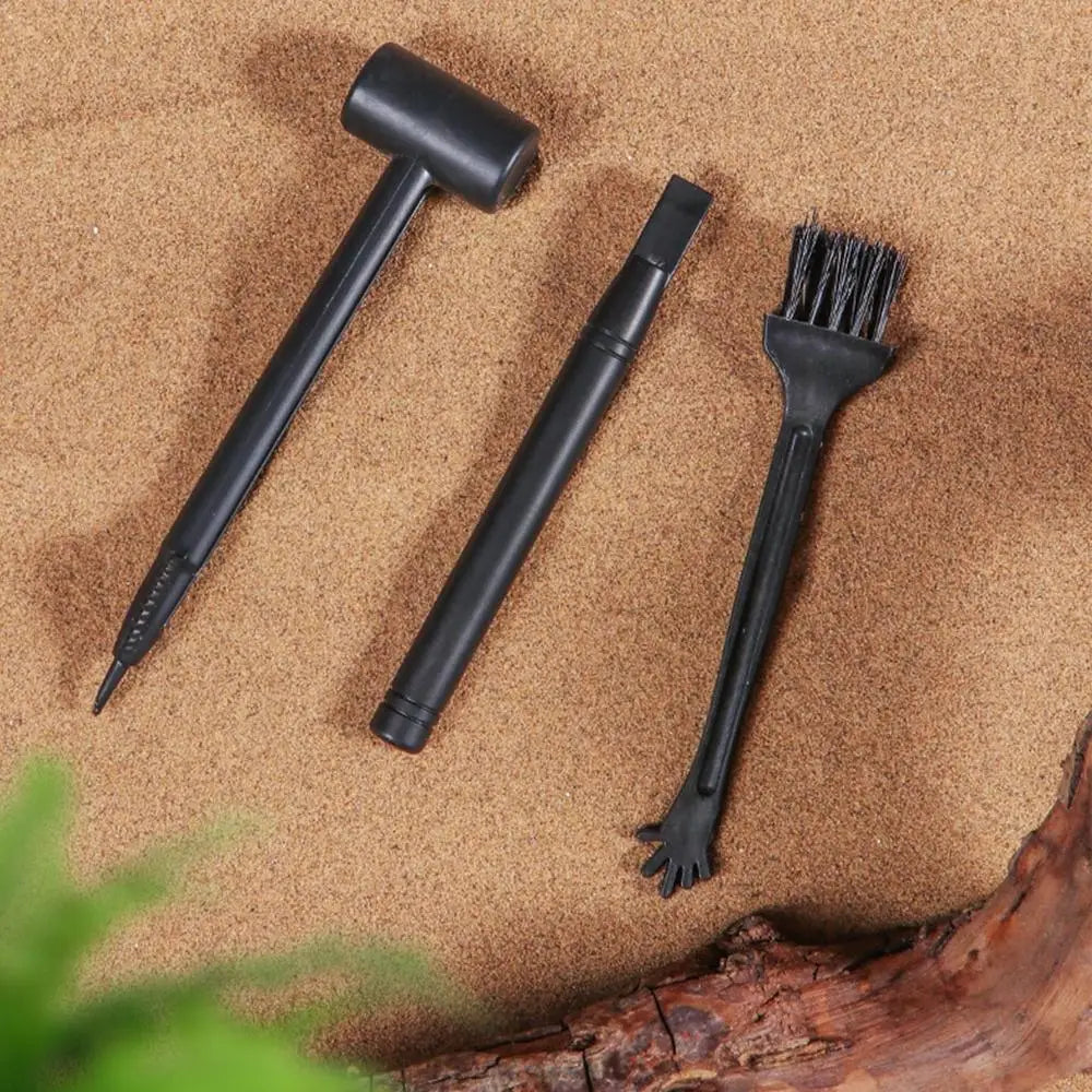 Educational Archaeological Excavation Dinosaur Egg